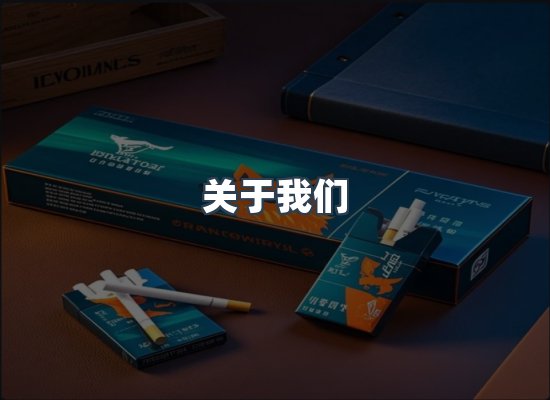 关于我们